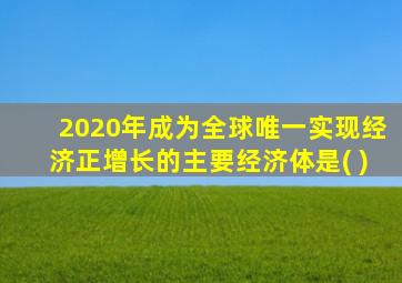 2020年成为全球唯一实现经济正增长的主要经济体是( )
